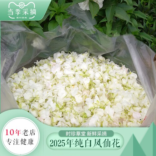 新鲜凤仙花粉指甲草粉遮盖白发染指甲纯天然纯植物正品海娜纳粉 - 图0