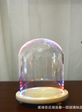 玻璃灯罩手模石膏克隆粉防尘罩握手模型罩干花手作玻璃灯罩高透明