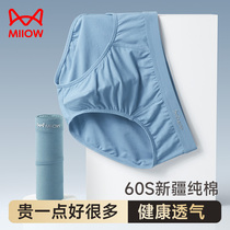 Cat People Triangle Pants Mens Underwear Boys Pure Cotton Antibacterial Crotch Mens Breathable Shorts Underpants Underpants Underpants Mens Style