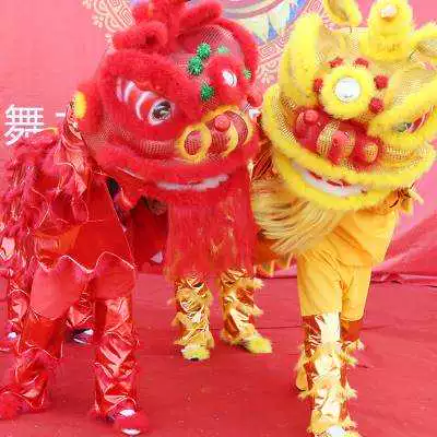 Новый танцевальный реквизит Lion, весь набор двойных южных танцевальных танцев Lion Dance Lion Wake Up Lion Dance Lion Dance Clothing O ..