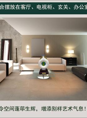 富贵祥龙花瓶摆件双龙家居客厅办公室店铺装饰品乔迁开业礼品高档