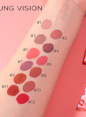 12color sexy red lip matte lip gloss Lipstick set 哑光唇釉