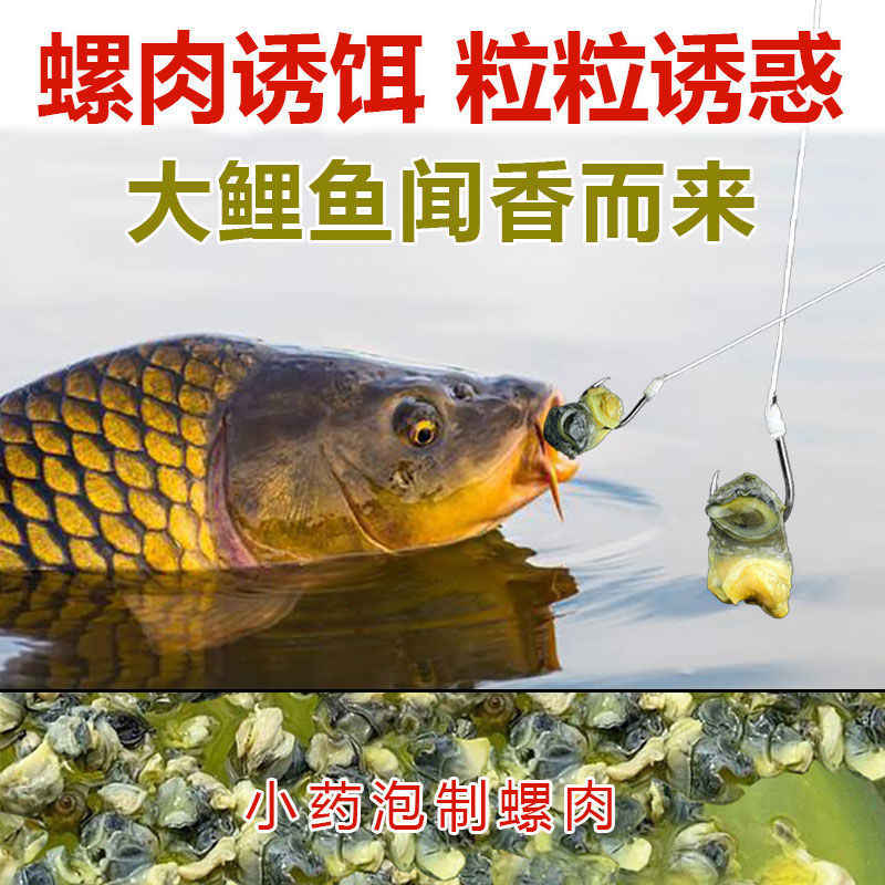 釣魚螺肉魚餌 新人首單立減十元 21年9月 淘寶海外