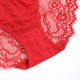 Eve's sexy red lace mid-waist underwear