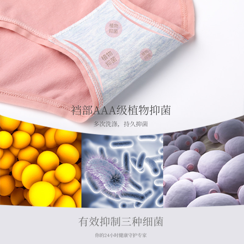 猫人无痕透气日系少女中腰三角裤头 猫人龙添内裤