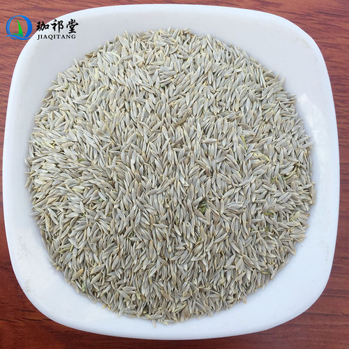 生菜籽中药材新货生菜子白巨胜子干货白巨胜籽白苣胜莴苣子可打粉 - 图1