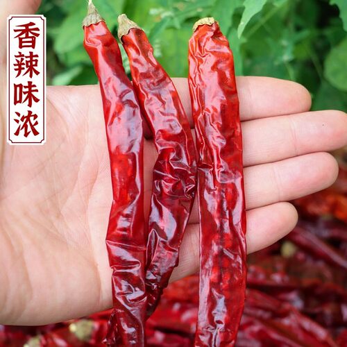 四川特香干辣椒二荆条七星椒小米辣朝天椒魔鬼椒灯笼海椒农家干货 - 图2