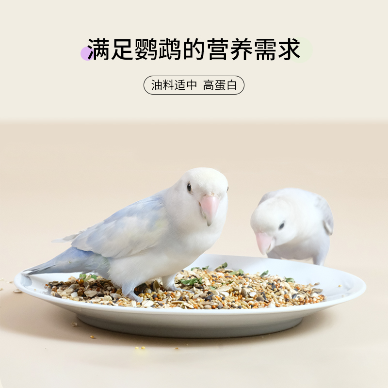 瑞友家中小型牡丹鹦鹉饲料鸟食带壳种子谷子700g文鸟鸟粮羽毛精灵-图0