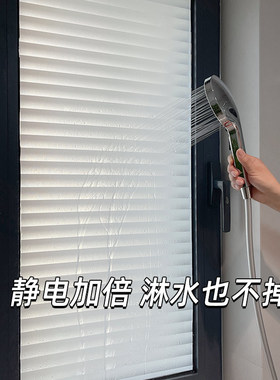 防走光卧室阳台厕所隐私玻璃贴纸