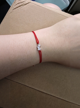 法兰西AG小狗S925手链瑷嘉沙优雅精致法式轻奢高级情侣款简约百搭