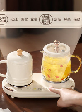 恒温养生壶办公室煮茶专