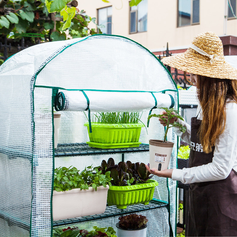 小温室花房迷你 新人首单立减十元 21年9月 淘宝海外