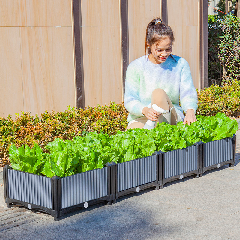 楼顶种菜专用箱露台花盆塑料家庭阳台菜架子多层立体架蔬菜种植箱-图3