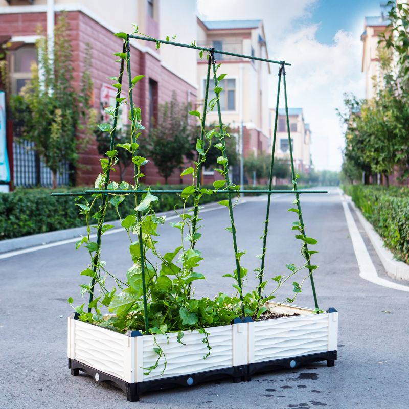 菜园蔬菜爬藤架网植物种植攀爬支架杆种菜丝瓜黄瓜豆角架园艺架子 - 图0