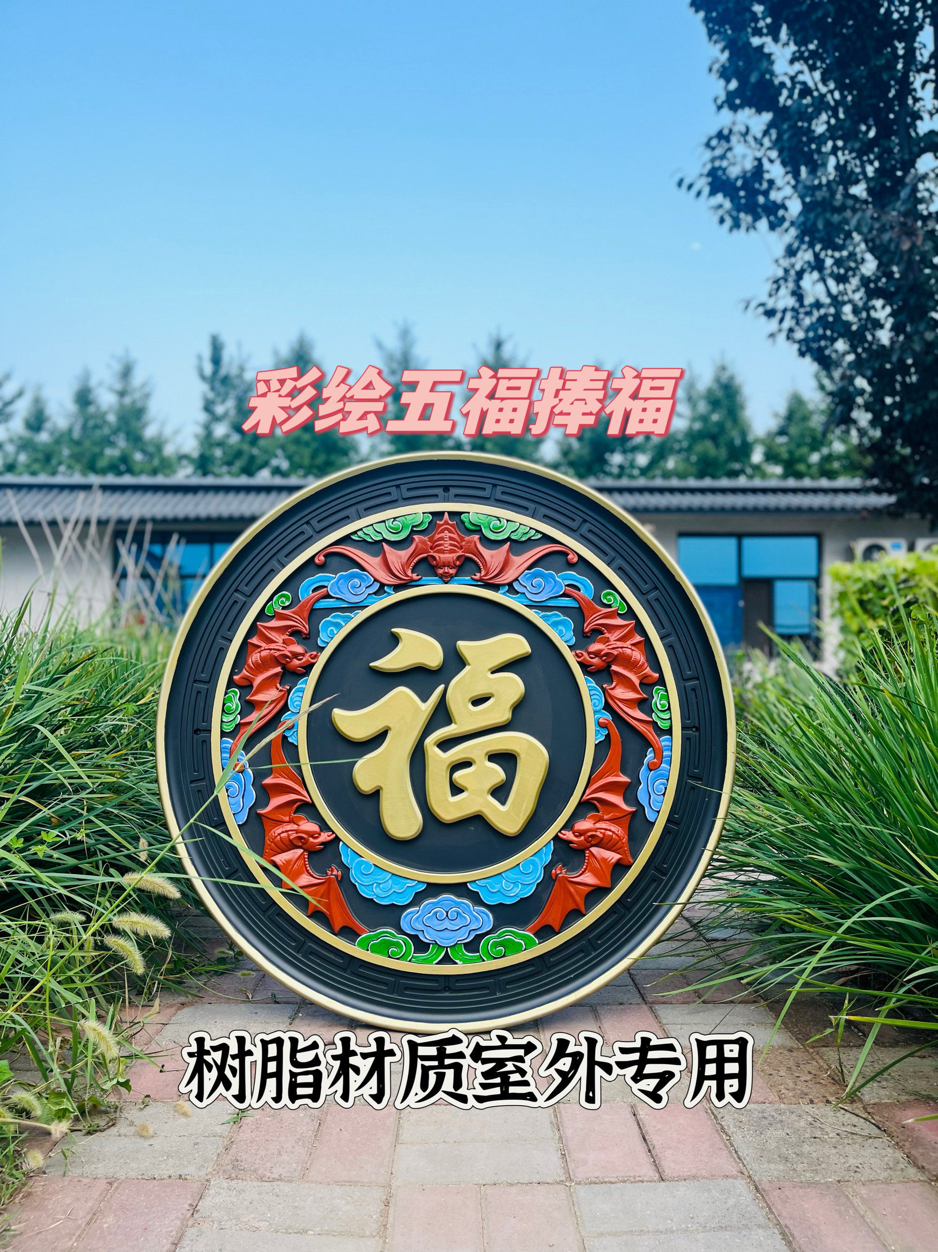 图5