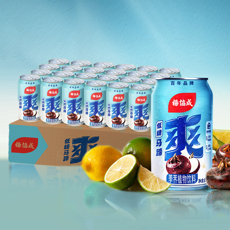 杨协成低糖马蹄爽果汁果肉果粒水果饮料荸荠果味饮料300ML*6罐