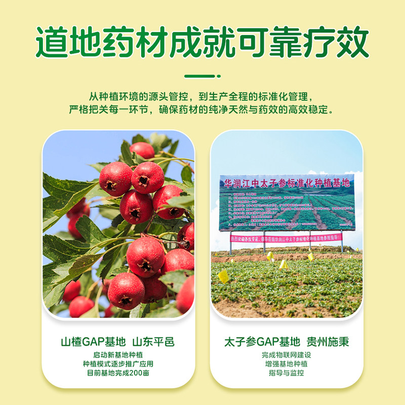 2盒江中健胃消食片160片消化不良大人小儿童胃病肠胃官方旗舰店