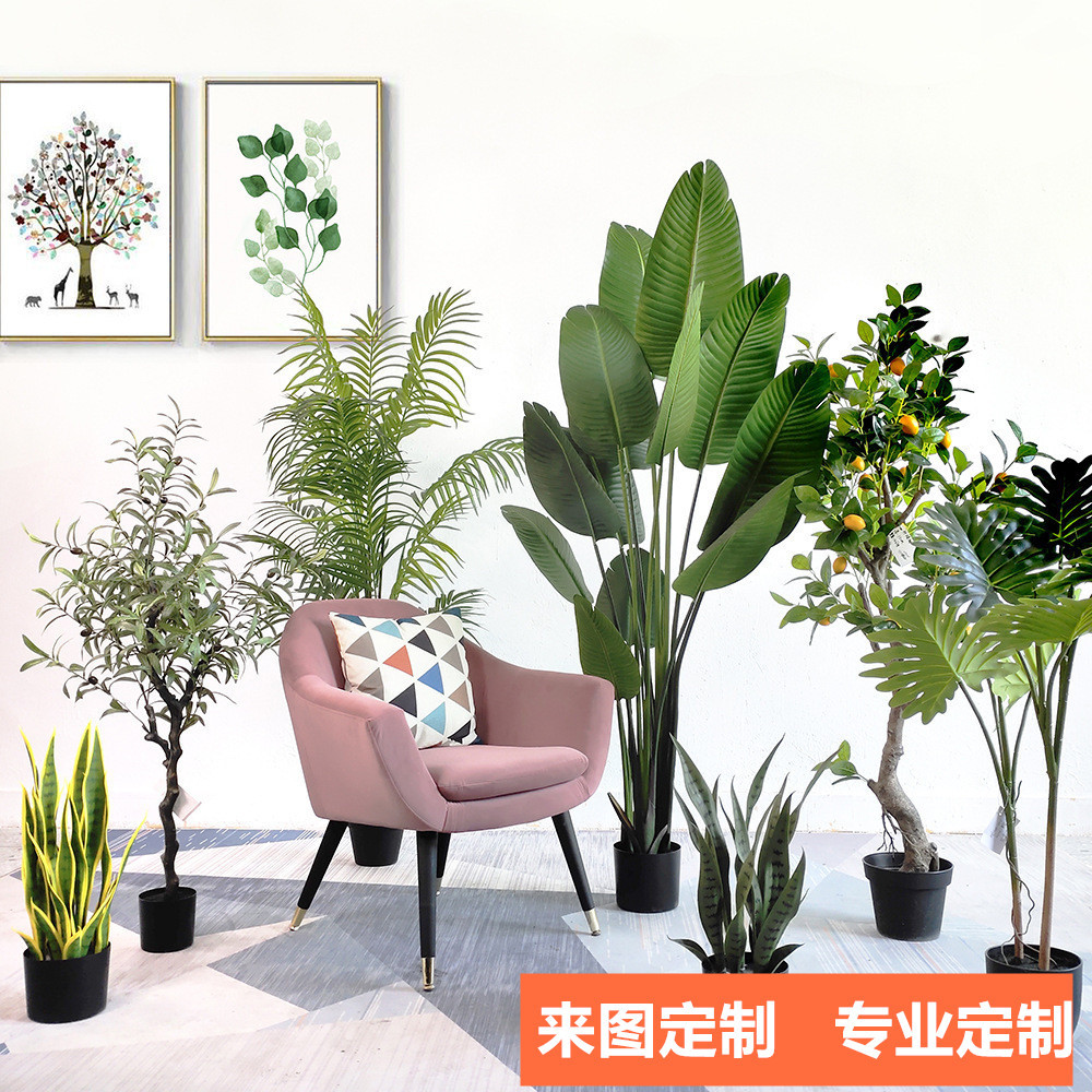 芭蕉树精 新人首单立减十元 21年9月 淘宝海外 芭蕉树精 新人首单立减十元 21年9月 淘宝海外