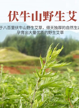 臻艾祥加粗陈年手工艾柱