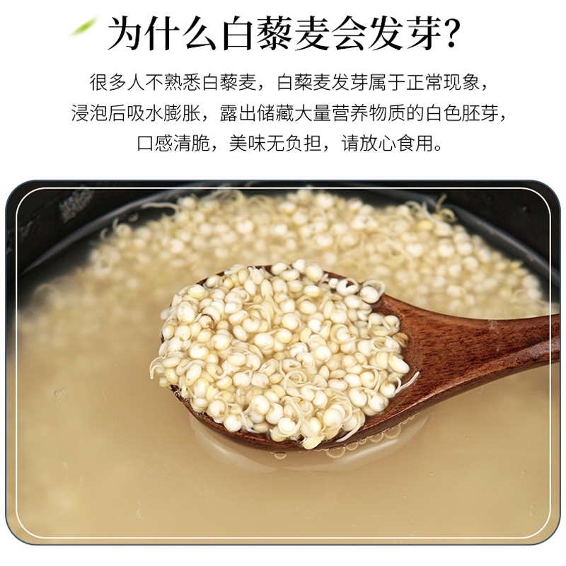 青海白藜麦米精选当季新鲜糙米五谷杂粮组合粗粮小袋代餐粥米500g-图1