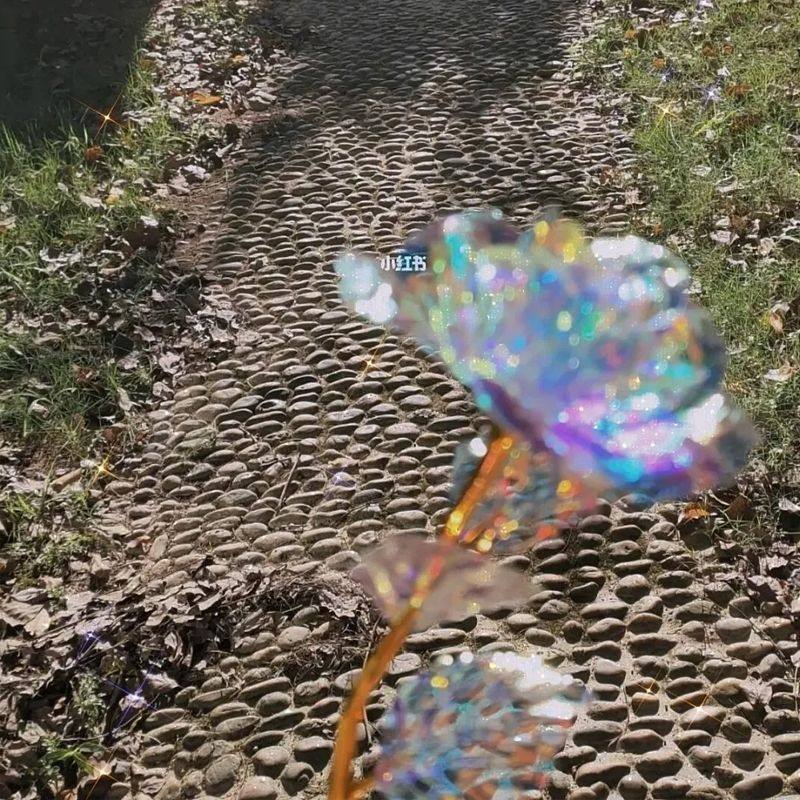 七彩永生花玫瑰花变幻金箔星空玫瑰花浪漫永恒情侣七夕情人节礼物,淘宝优惠券,粉丝福利购,淘宝优惠卷