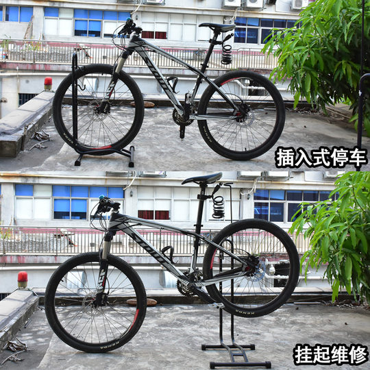 Professor's bicycle mountain bike tree upright