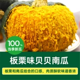 【Зеленый ходунок】 beibei тыква Аутентичный каштановый вкус маленькая тыква Свежая овощная старая тыква дополняет пищевая порошковая клейкая комплементарная пища