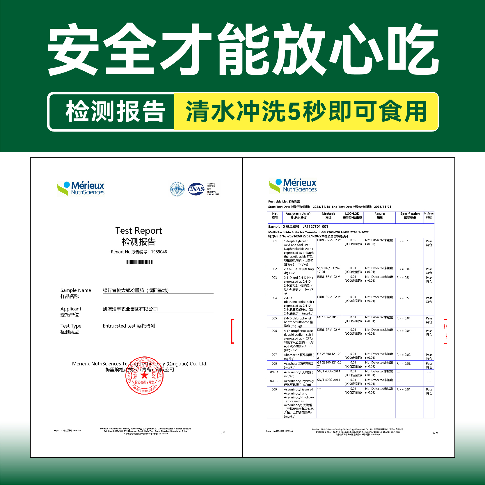 【绿行者】桃太郎小粉番茄新鲜自然熟生吃番茄酸甜水果孕妇水果