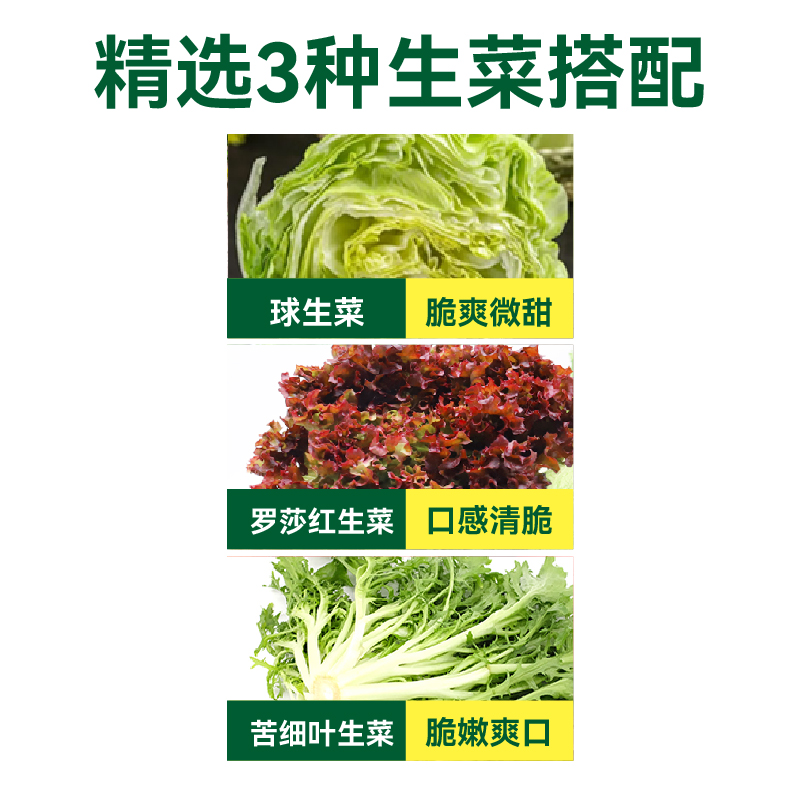 【绿行者】生菜沙拉材料3种生菜组合2斤装低脂混合蔬菜西餐即食C - 图0