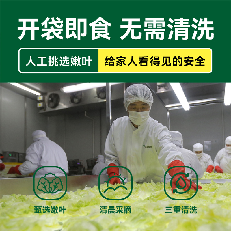 【绿行者】新鲜球生菜蔬菜沙拉材料开袋即食450g低脂轻食健身代餐