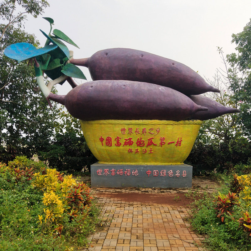 海南澄迈桥头富硒金手指薯新鲜红薯 青穗番薯