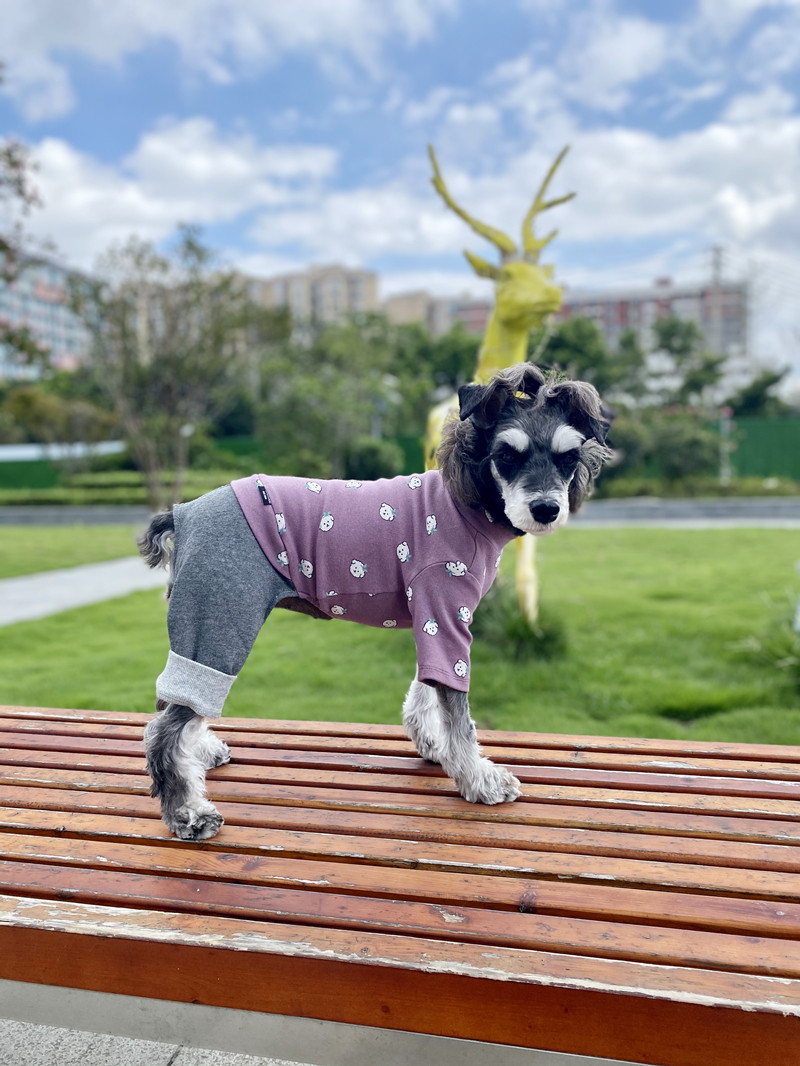 10 11 13 14 15 chouchou丑丑卡通宠物衣服秋冬狗狗打底衫泰迪四-图1