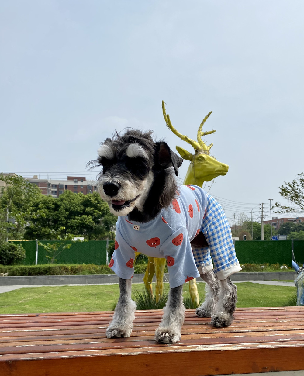 奇可家 chouchou丑丑卡通宠物衣服秋冬狗狗打底衫泰迪四脚裤衣服-图1