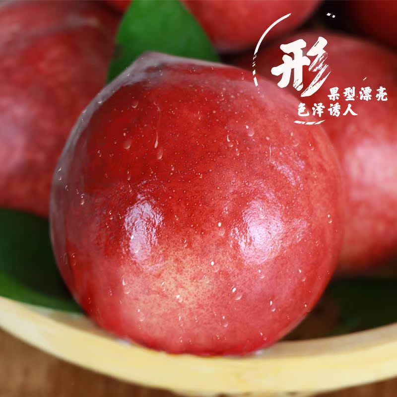 陕西原产地商品官方旗舰店陕西水蜜桃5斤水果新鲜脆甜大桃子毛桃整箱包邮应季超甜油密桃100