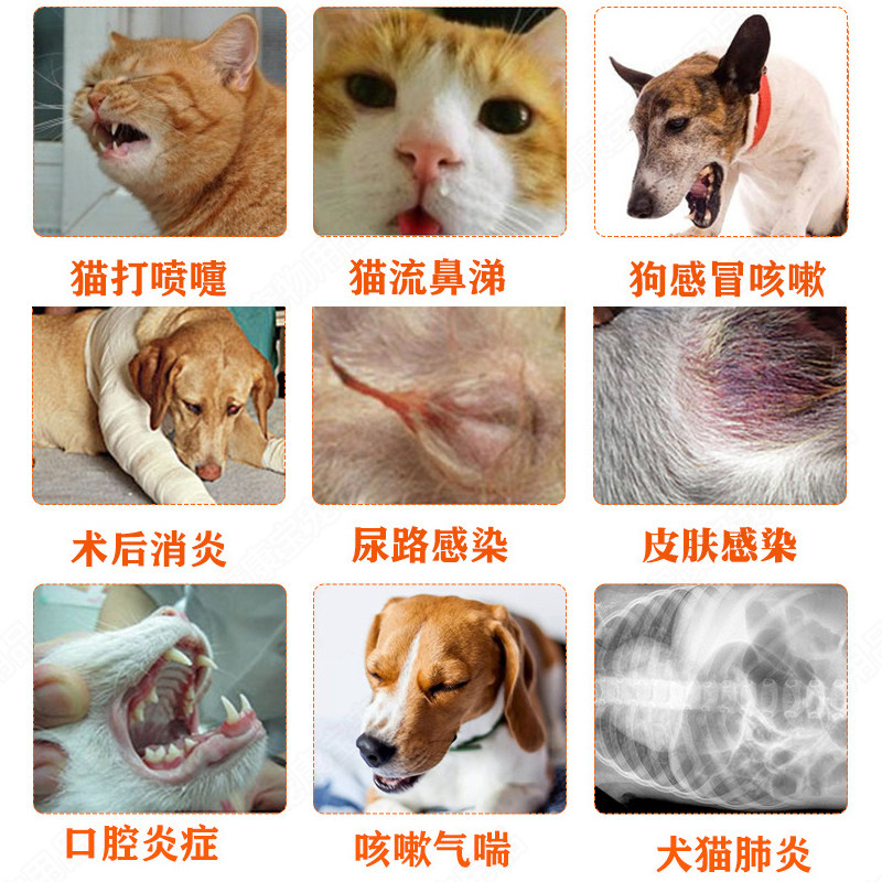 宠物狗猫咪用消炎药头孢羟氨苄脓皮症猫咪感冒外伤消炎药抗菌真菌,淘宝优惠券,粉丝福利购,淘宝优惠卷