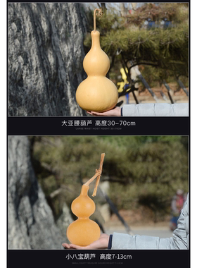 葫芦种子手捻亚腰八宝天津嘴葫