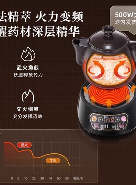 专业级,中药壶文武火煎药壶