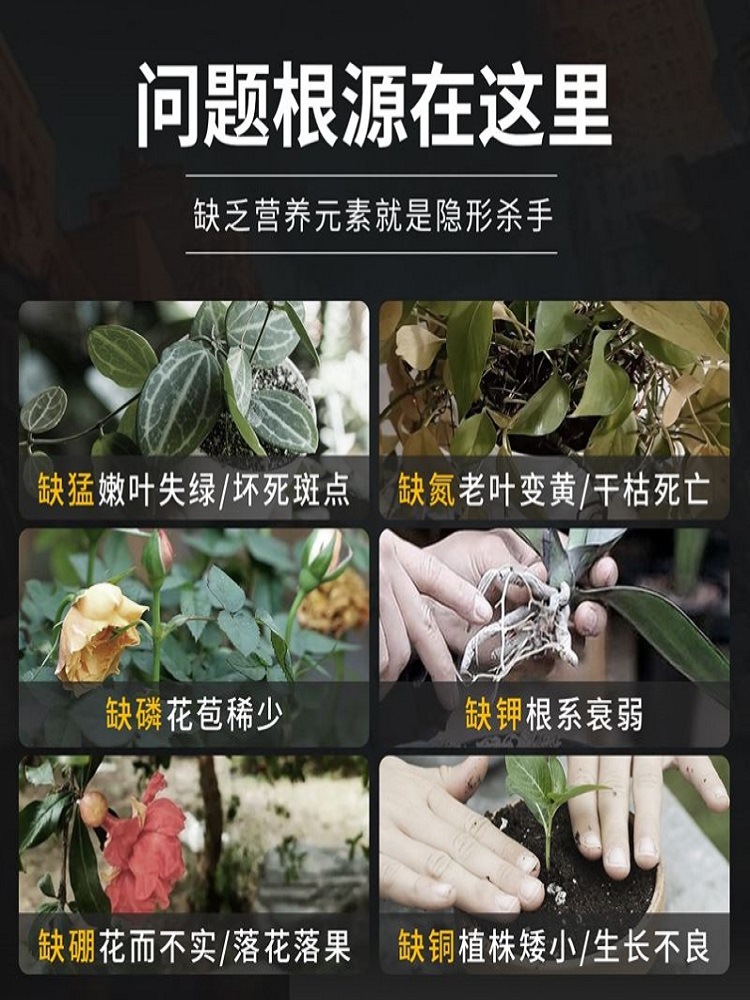 快速开花粉三角梅茶花茉莉蟹爪兰通用促花生根壮苗园艺家用爆花肥 - 图0