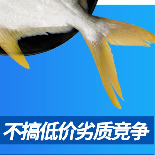 乌耳鳗鱼包切潮汕淡水鳗鱼鲜活直发海鲜水产河鳗鱼白鳝鱼鲜活顺丰 - 图3