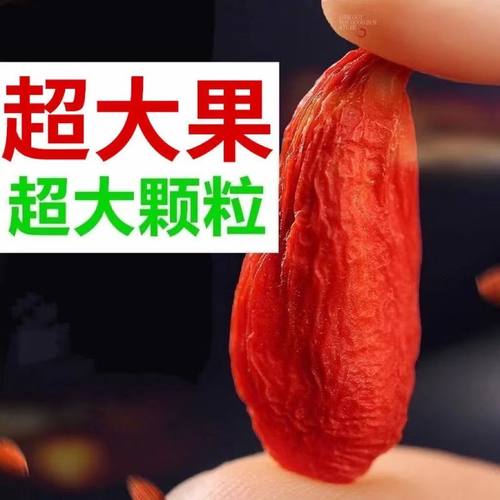 特级枸杞子宁夏正宗新货大颗粒枸杞独立包装批发枸子泡水泡酒 - 图0