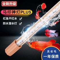 Maprint God Lights Flagship Store PLUS Three Primary Colours Red Dragon Fish Special Lamp Brightening Lamp Waterproof LED Thunderdragon Fish Tank Lamp