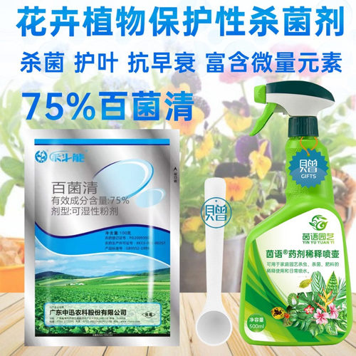 中迅 PD20093003 杀菌剂 XK13-003-01243 江西农化有限公司 - 图0