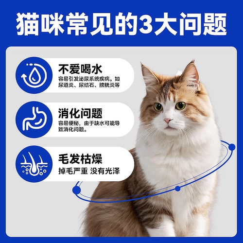 力狼 Кошачья консервированная флагманская флагманская магазин питания кошачьи закуски для взрослых кошачьи пищевые продукты питания могут пополнить влагу и суп с влажным зерном.