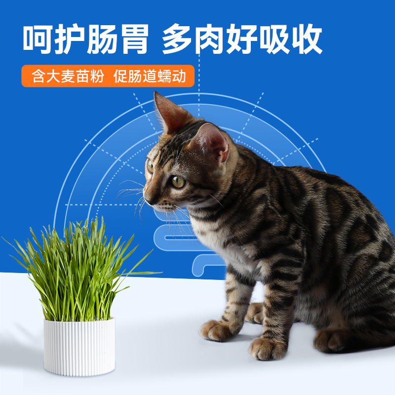 力狼猫零食流质猫条幼猫咪罐头成猫小鱼干妙鲜肉湿粮包100支整箱_力狼旗舰店_宠物/宠物食品及用品-第4张图片-提都小院