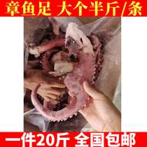 Fresh octopus foot oversized frozen commercial octopus with iron plate 8 claws crisp 20 catty of pellet seafood