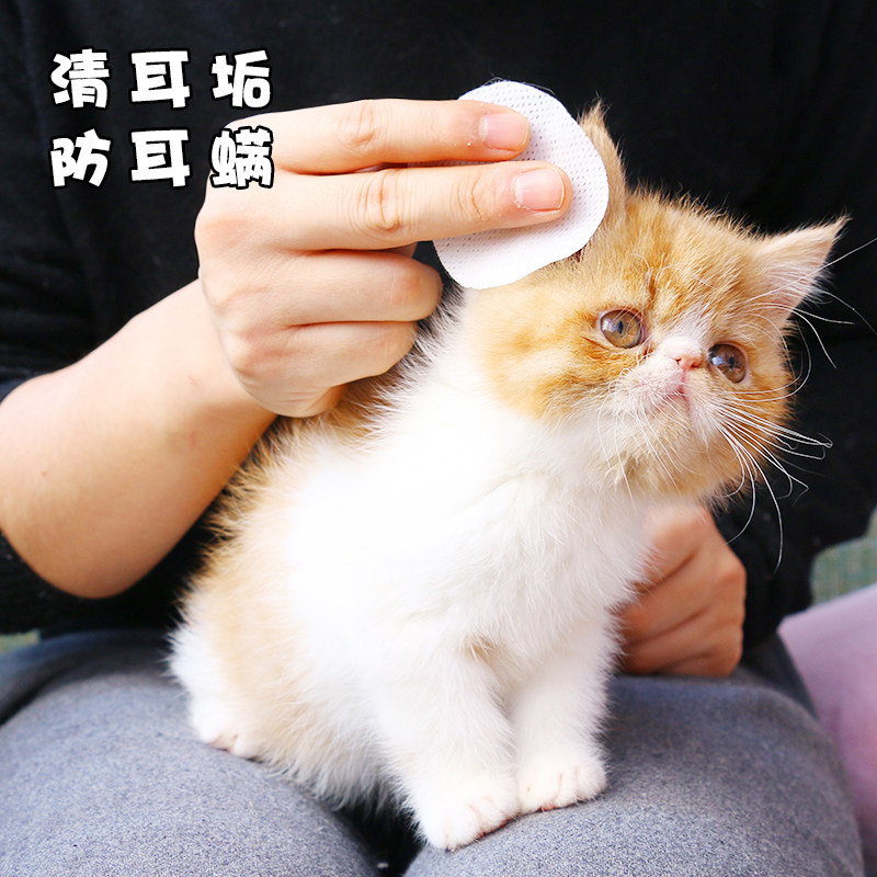 除耳垢 新人首单立减十元 21年8月 淘宝海外