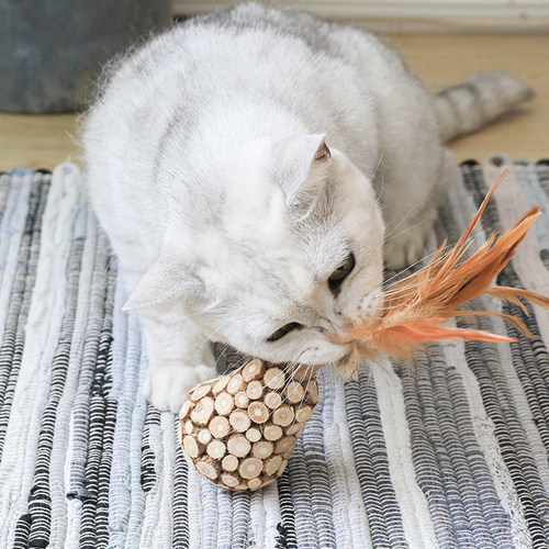 玩趣菠萝猫咪玩具自嗨解闷耐咬羽毛木天蓼磨牙棒猫薄荷猫球逗猫棒 - 图1