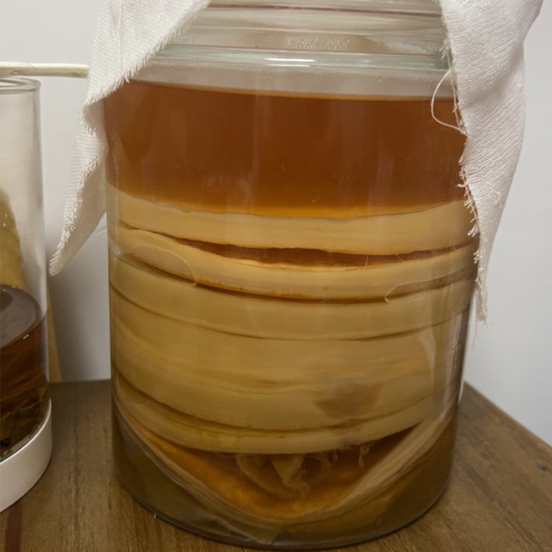 红茶菌胃宝原种液增加浓度活性更强加速发酵可直接用于康普茶二发,淘宝优惠券,粉丝福利购,淘宝优惠卷