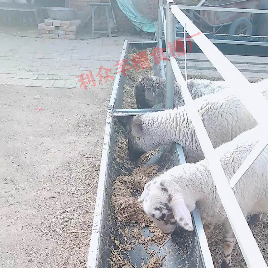 单面羊槽带围栏羊食槽家用养羊带架子养殖专用料槽橡胶输送带槽子,淘宝优惠券,粉丝福利购,淘宝优惠卷