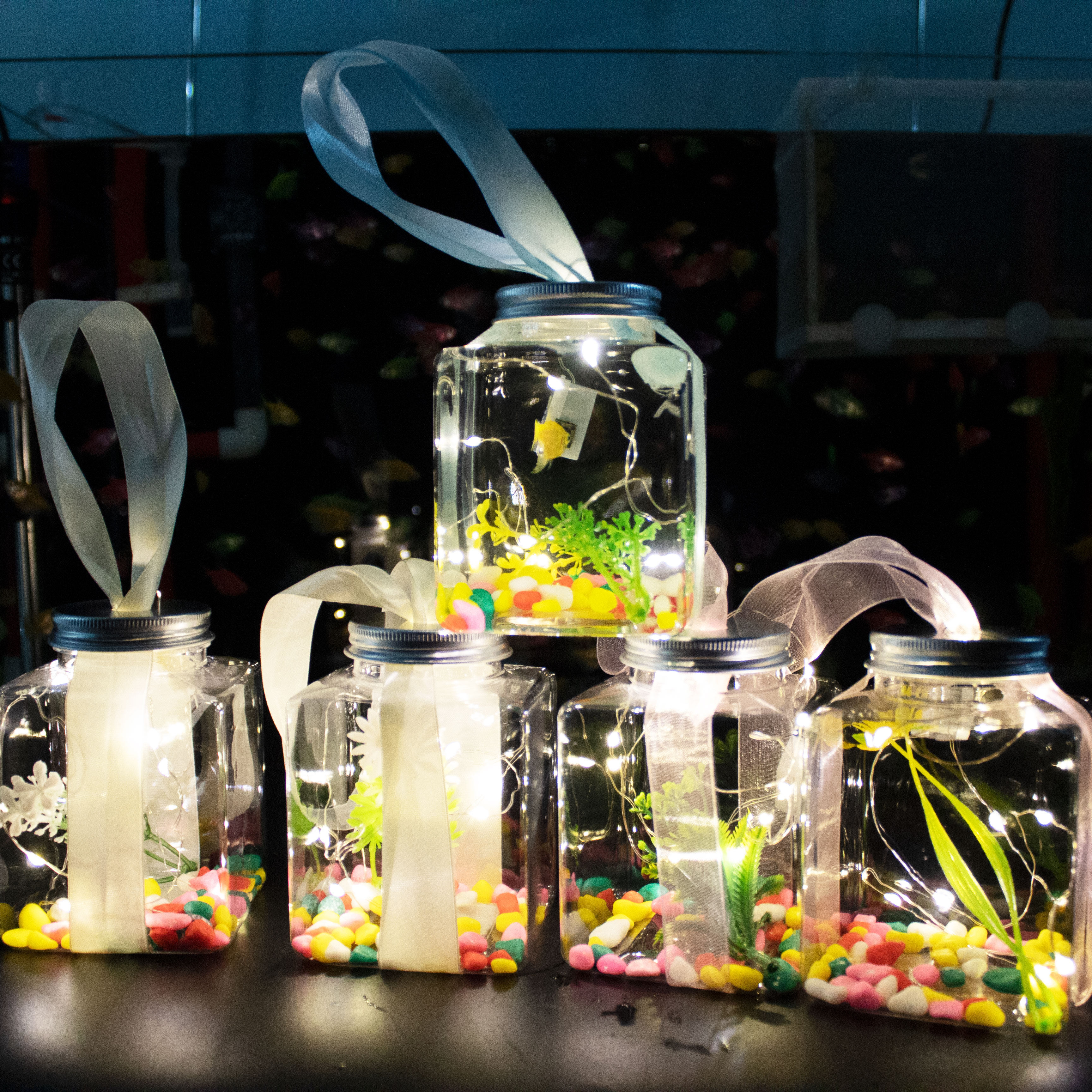 网红发光罐罐鱼瓶发光小鱼瓶小龟瓶塑料瓶龟缸夜市摆摊泡泡鱼材料,淘宝优惠券,粉丝福利购,淘宝优惠卷